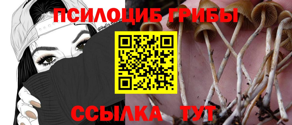 Галлюциногенные грибы Psilocybine cubensis  сколько стоит  Майский  Вход с VPN 